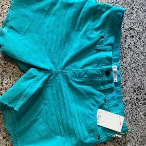 Carve Designs Oahu 6” short size 10